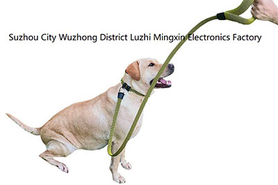 Dog Leash and Collar